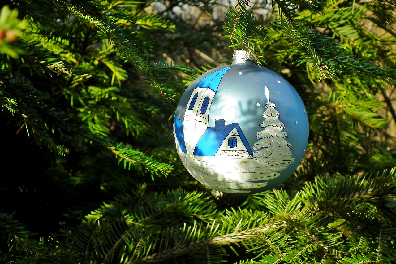 Abholung ausgedienter WeihnachtsbÃ¤ume durch die BSR im Januar 2026.