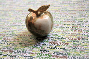 Nachhaltig einkaufen